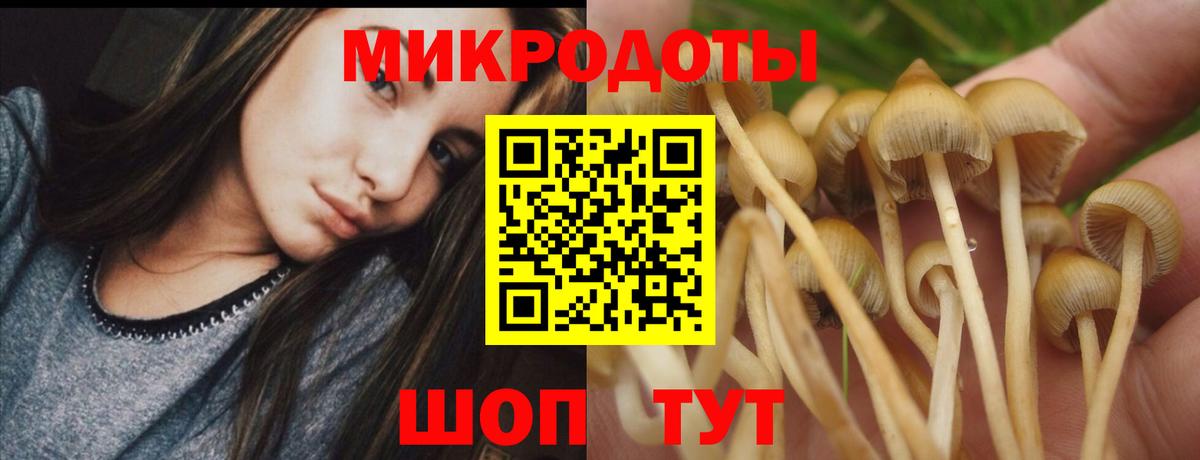 Донецк  Псилоцибиновые грибы ЛСД  Вход с VPN  Псилоцибиновые грибы Cubensis 